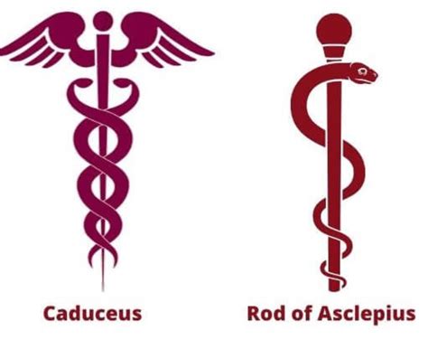 why was caduceus so popular